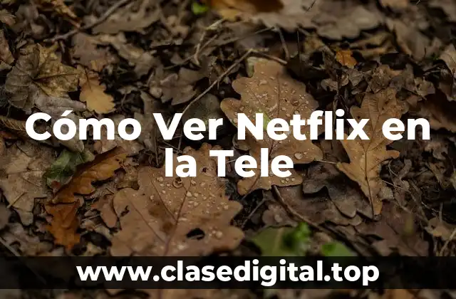 Cómo Ver Netflix en la Tele