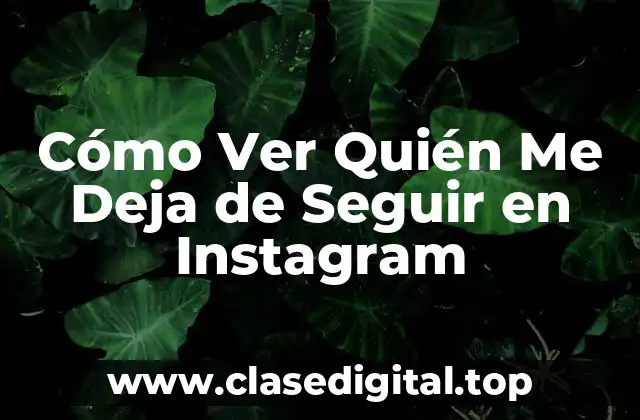 ¿Por Qué es Importante Monitorear tus Seguidores en Instagram?
