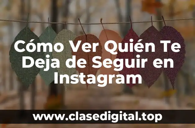 ¿Por Qué Es Importante Ver Quién Te Deja de Seguir en Instagram?