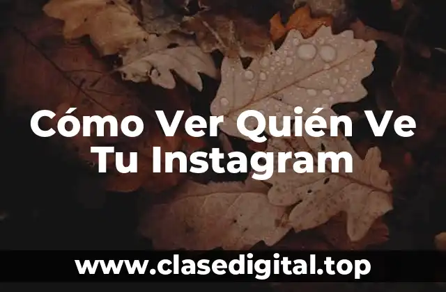 Cómo Ver Quién Ve Tu Instagram