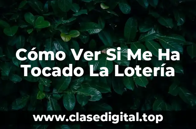 Cómo Ver Si Me Ha Tocado La Lotería