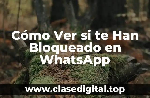 Cómo Ver si te Han Bloqueado en WhatsApp