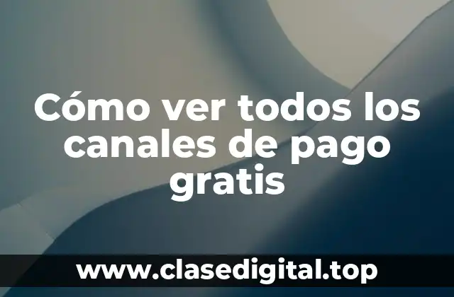 ¿Qué son los canales de pago?