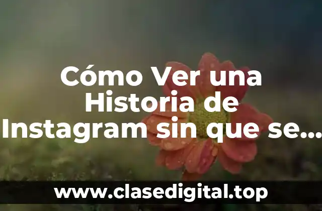 Cómo Ver una Historia de Instagram sin que se Pan