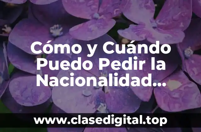 Cómo y Cuándo Puedo Pedir la Nacionalidad Española