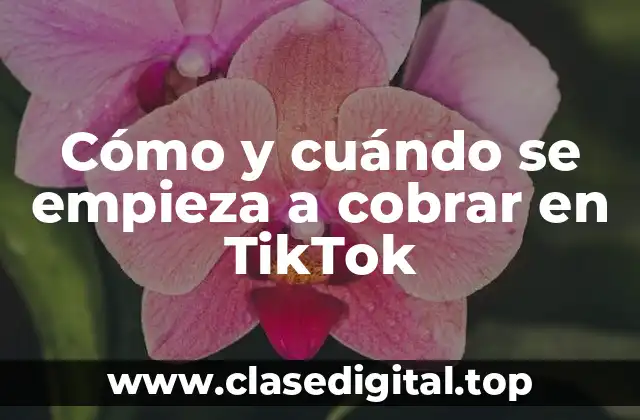 Cómo y cuándo se empieza a cobrar en TikTok