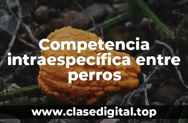 Competencia intraespecífica entre perros