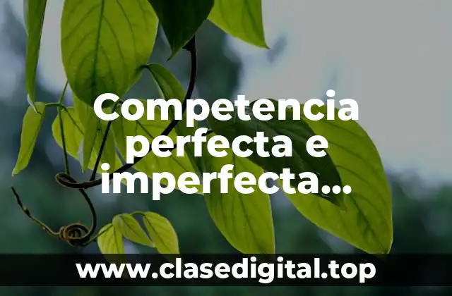 Competencia perfecta e imperfecta economía