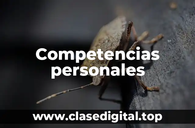 Competencias personales