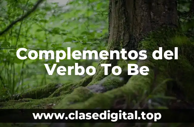 Complementos del Verbo To Be