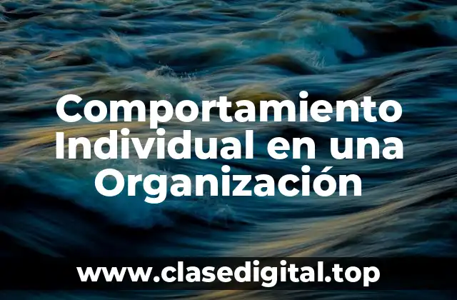 Comportamiento Individual en una Organización