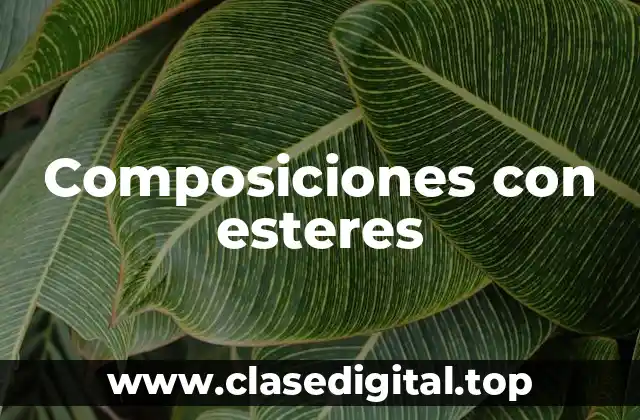 Ejemplos de compuestos con esteres