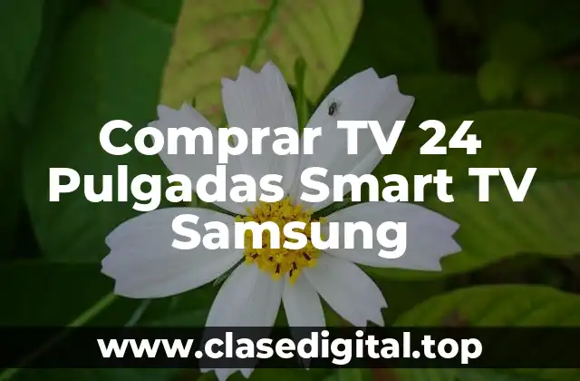 Comprar TV 24 Pulgadas Smart TV Samsung