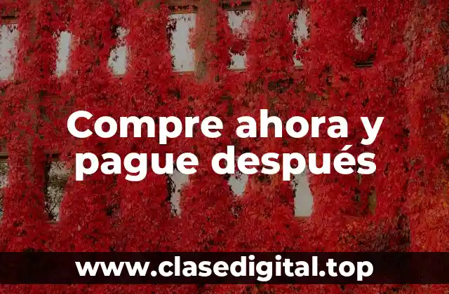 Ejemplos de compre ahora y pague después