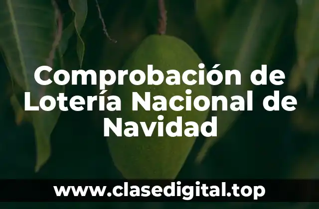 Comprobación de Lotería Nacional de Navidad