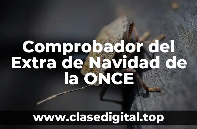 Comprobador del Extra de Navidad de la ONCE