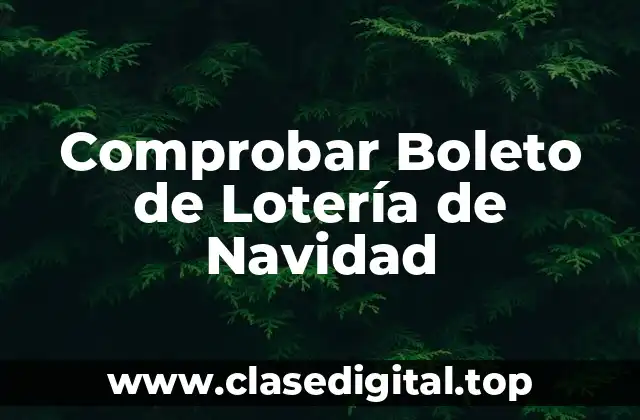 Comprobar Boleto de Lotería de Navidad