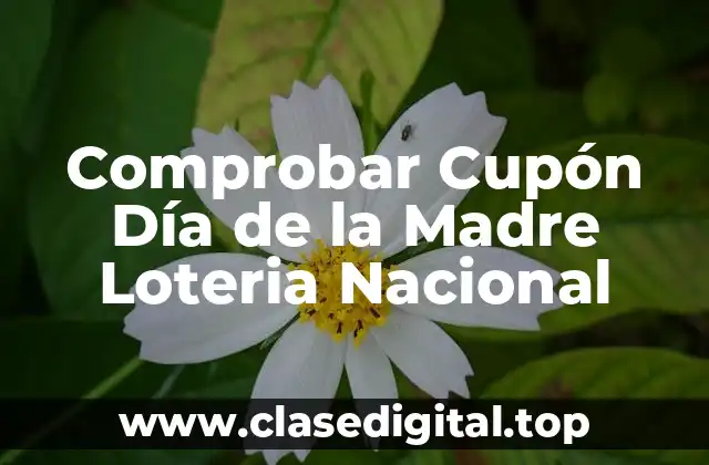 Comprobar Cupón Día de la Madre Loteria Nacional