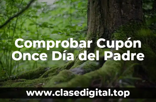 Comprobar Cupón Once Día del Padre