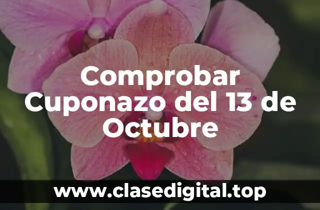 Comprobar Cuponazo del 13 de Octubre