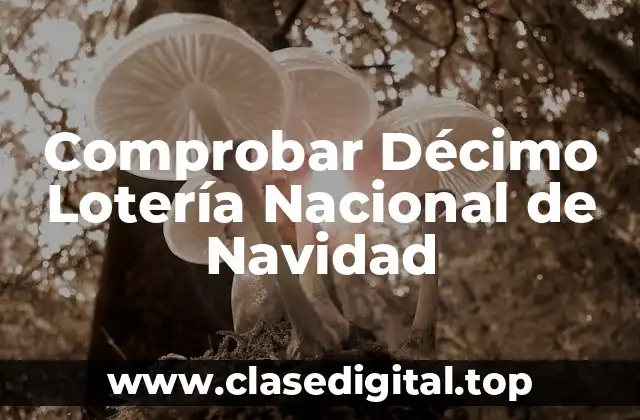 Comprobar Décimo Lotería Nacional de Navidad