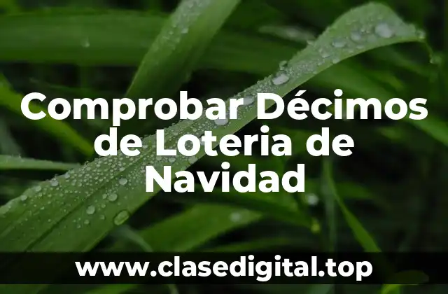 ¿Qué es la Lotería de Navidad?