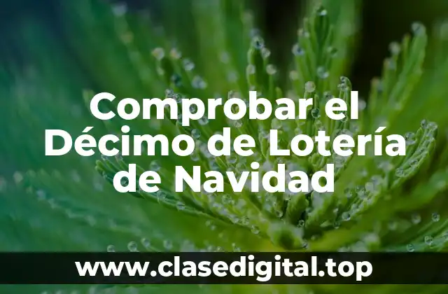 ¿Cómo Funciona la Lotería de Navidad?