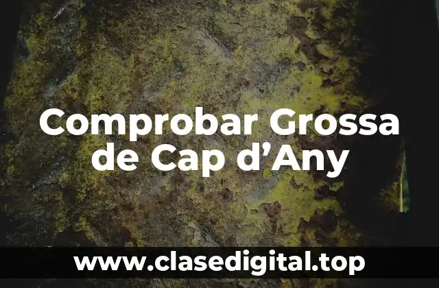 Comprobar Grossa de Cap d’Any