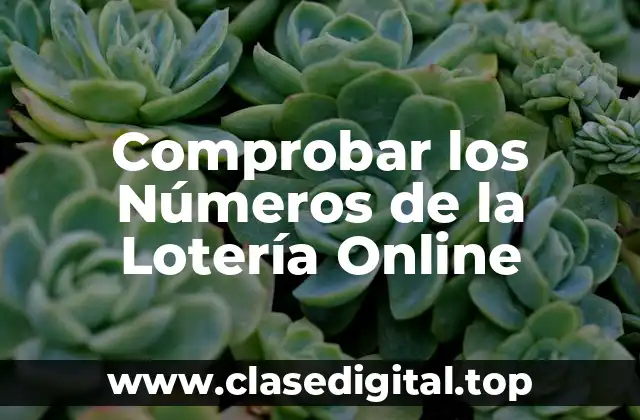 Comprobar los Números de la Lotería Online