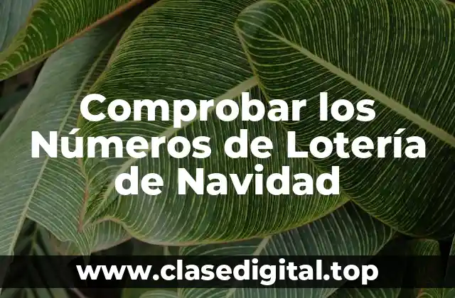 Comprobar los Números de Lotería de Navidad
