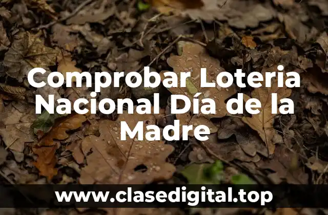Comprobar Loteria Nacional Día de la Madre