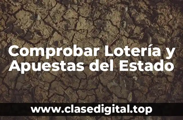 ¿Cómo Funciona la Lotería y las Apuestas del Estado?