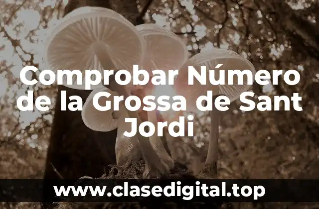 Comprobar Número de la Grossa de Sant Jordi