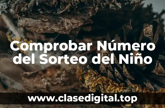 Comprobar Número del Sorteo del Niño