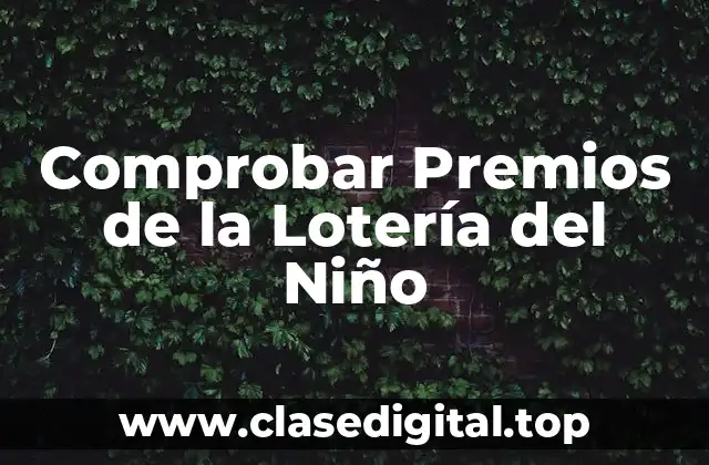 ¿Cómo Funciona la Lotería del Niño?