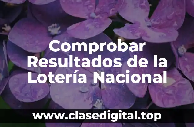 Comprobar Resultados de la Lotería Nacional