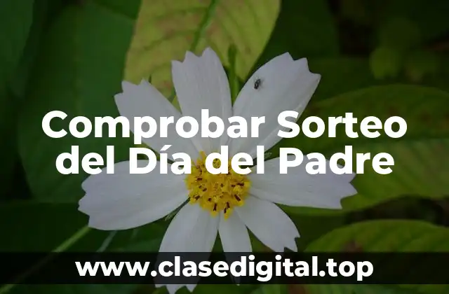 Comprobar Sorteo del Día del Padre