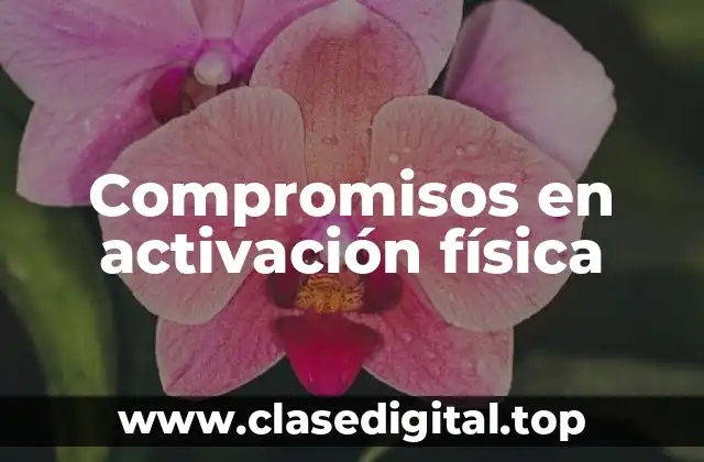 Compromisos en activación física
