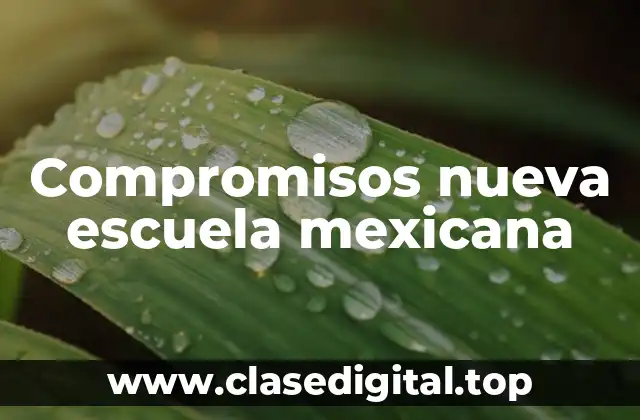 Compromisos nueva escuela mexicana