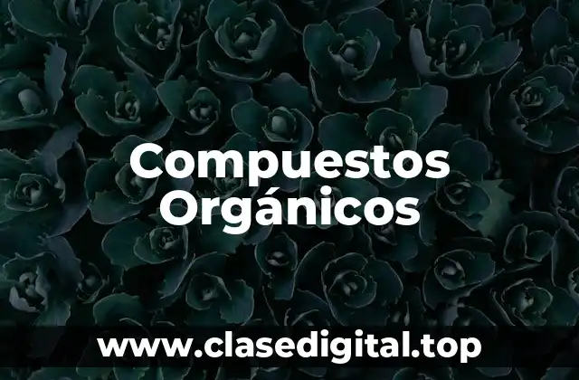 Ejemplos de Compuestos Orgánicos