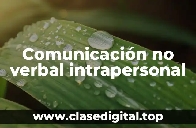 Comunicación no verbal intrapersonal