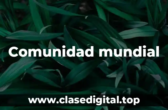 Comunidad mundial