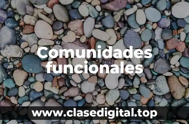 Comunidades funcionales