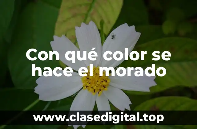 Con qué color se hace el morado