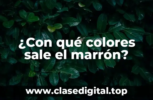 ¿Con qué colores sale el marrón?