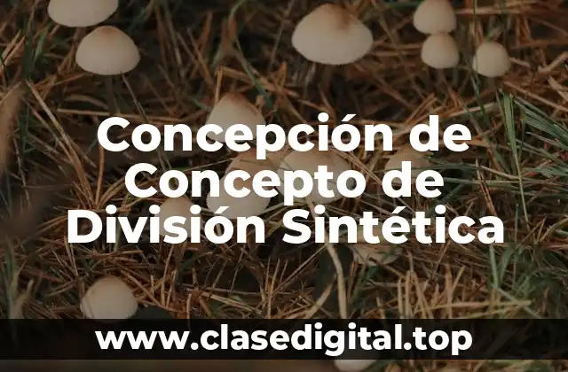 Concepción de Concepto de División Sintética