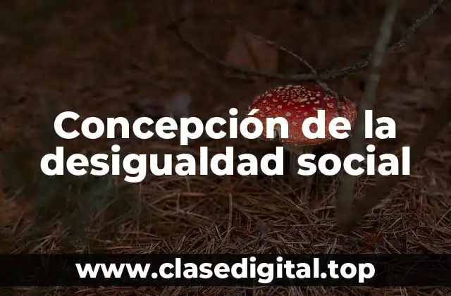 Concepción de la desigualdad social