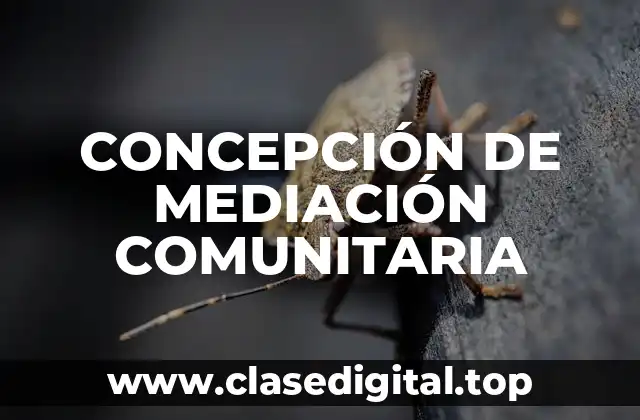 CONCEPCIÓN DE MEDIACIÓN COMUNITARIA