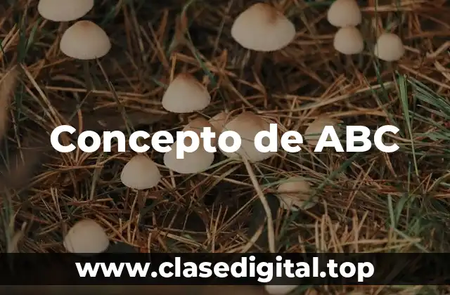 Concepto de ABC