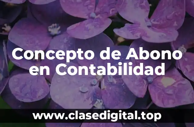 Concepto de Abono en Contabilidad